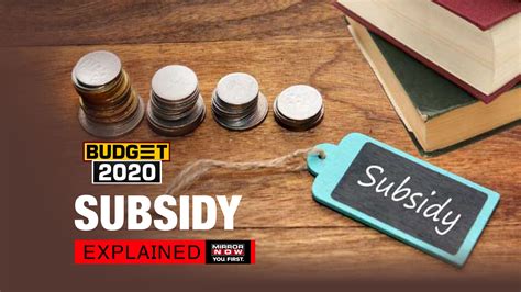 Watch What Does A Subsidy Mean Explained All You Need To Know