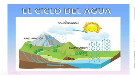 El Ciclo Del Agua 1 Youtube
