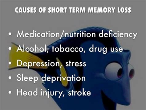 Do not blame or shout if your teenager is displaying signs of. causes of short term memory loss Visit us on ...