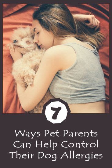 7 Ways Pet Parents Can Help Control Their Dog Allergies Dog Hives