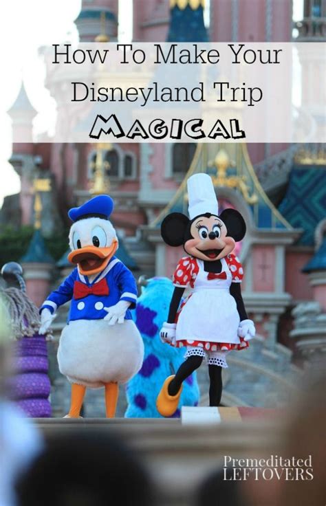 How To Make Your Disneyland Trip Magical Are You Planning A Disneyland