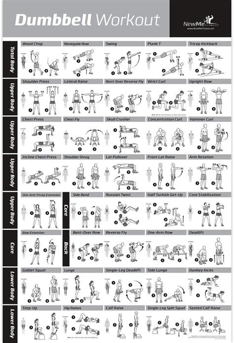 Dumbbell Workout Exercise Poster Now Laminated Strength Training