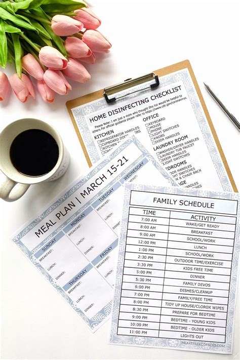 Editable Printable Templates Schedule Meal Plan Cleaning Checklist