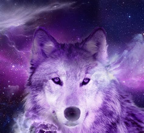 Ver más ideas sobre lobo dibujo, anime wolf, lobos a lapiz. Cosmic Wolf by vivianethais on DeviantArt