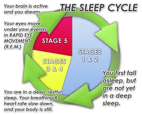 Should We Treat Meditation Cycles Like We Treat Sleep Cycles And Try