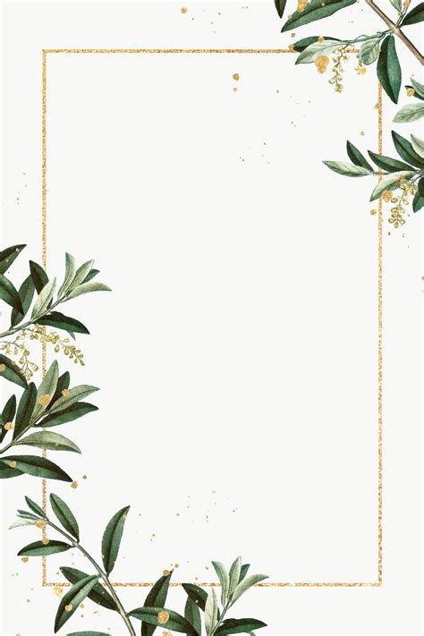 Olive Branches Frame Png Hand Drawn Border Design Space Free Image By