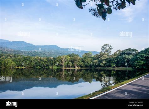 Beautiful View Of The Ang Kaew Reservoir Lake Surrounded By Trees And