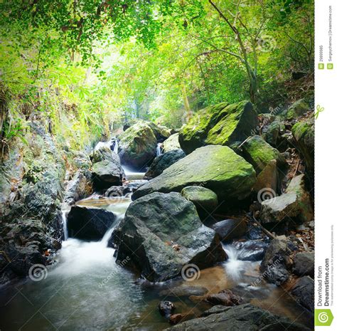 Forest Photography Mountain River Stock Image Image Of Beautiful