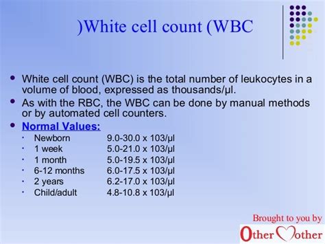 White Blood Cell Normal Range What Are White Blood Cells What Do