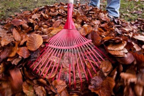 Well… cardano wants to become the first all in one cryptocurrency. You could hire a kid to rake up your leaves for $10 or you ...