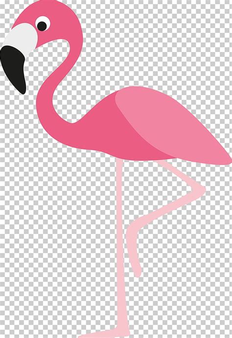 Flamingo Cartoon Png Clipart Animals Art Beak Bird Cartoon Free