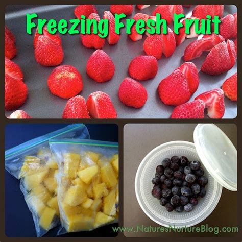 How To Freeze Fresh Fruit Natures Nurture