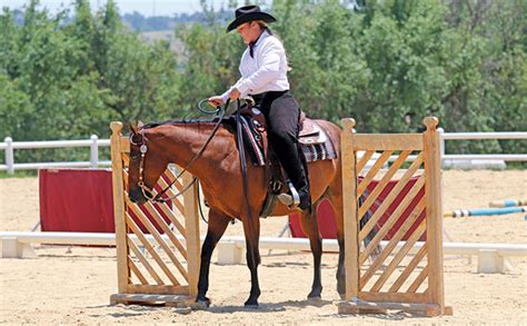 Working Equitation A New Equestrian Discipline In Sa