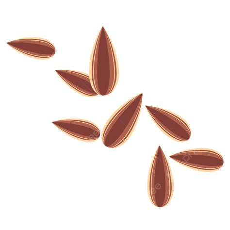 Melon Seeds Cartoon Png Picture Cartoon Melon Seeds Deduction Free