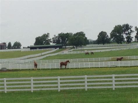 4 Rail Fence Kentucky Horse Park Lexington Ky Kentucky Horse Park