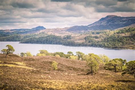 Walking On The Kintail Way At Glen Affric In The Scottish Highlands