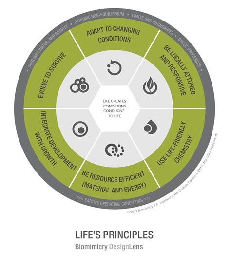 Lifes Principles Biomimicry Institute