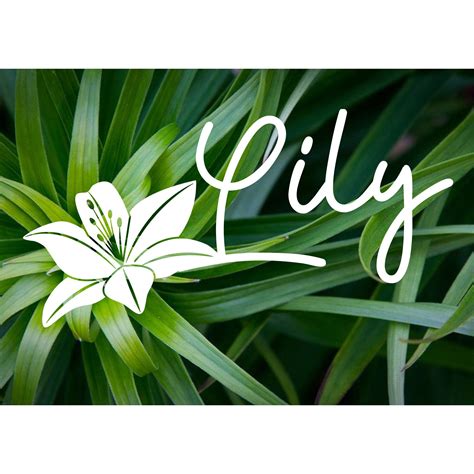 Lily Flower Name Vinyl Decal Sticker Custom Etsy
