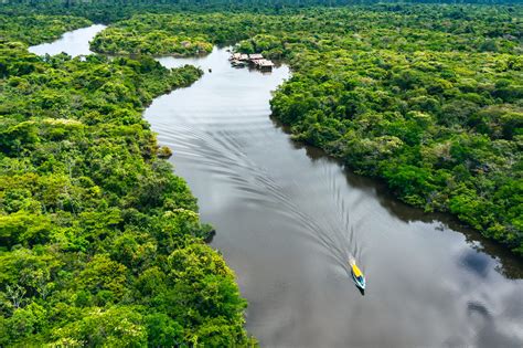 Fatos Da Amazônia Meio Ambiente E Uso Do Solo Amz2030