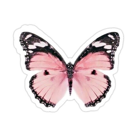 Pink Butterfly Sticker By Jasmine04 Pink Butterfly Aesthetic