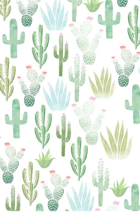 Cactus Background Wallpaper Nawpic