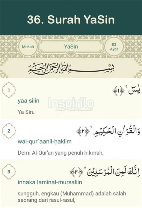 Through the application of text yasin fadilah we can get a lot of useful knowledge, but it can also be easy to be played through your android device, respectively.in applications reveal the secrets yasin fadhilah and efficacy are summarized in an easy to. Bacaan Surat Yasin Lengkap Arab Latin Dan Terjemahannya