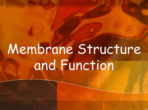 Ppt Membrane Structure And Function Powerpoint Presentation Free