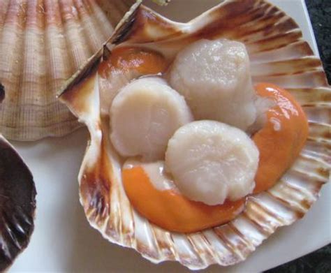 Si tratta di una ricetta che fa parte del suo libro gourmet per tutti. Capesante con crema di carciofi e salsa allo zafferano: la ...