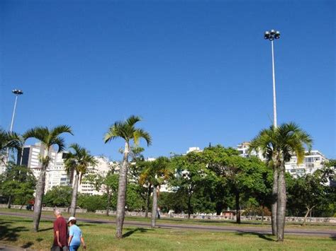 Flamengo (disambiguation) — flamengo may refer to:* flamengo, a neighborhood located in rio de janeiro, brazil * flamengo park, a leisure area of rio de janeiro, brazil * clube de regatas do. Flamengo Park Picture 3 | Brazil