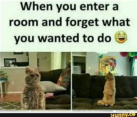 When You Enter A Room And Forget What You Wanted To Do Ifunny