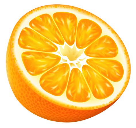 Half Orange Png Vector Clipart Image Orange Clip Art Fruit Art