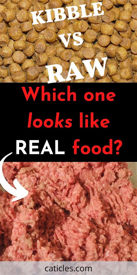 Raw Diet For Cats 7 Facts That Will Shock You And The Best Cat Food