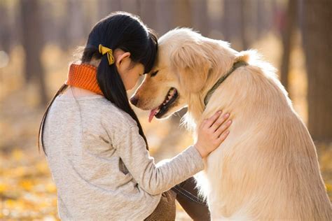 Why Do Dogs Love Their Owners So Passionately Samachar Live