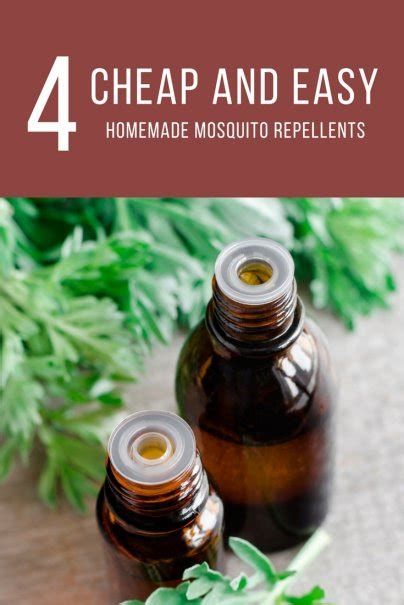 If you are heading outside for picnics, sporting events, yard work, or relaxing on the patio, chances are you've seen a bug or two already. 4 Cheap and Easy Homemade Mosquito Repellents