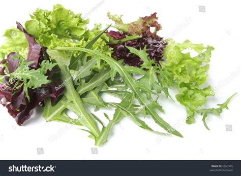 Crispy Fresh Mixed Salad Leaves Stock Photo 6653395 Shutterstock