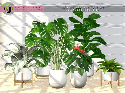 Haze Plants By Simcredible Liquid Sims