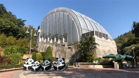 Macau Giant Panda Pavillion Youtube