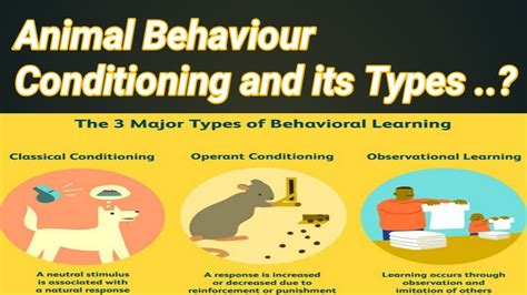 Animal Behavior Conditioning And Its Types Lecture No 18 Youtube
