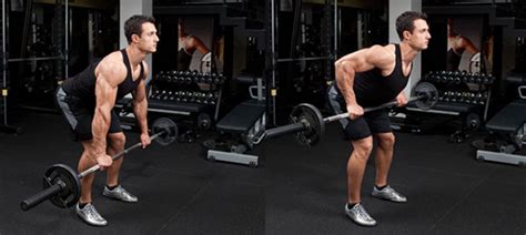 How To Perform Bent Over Rows With A Barbell And Dumbbells