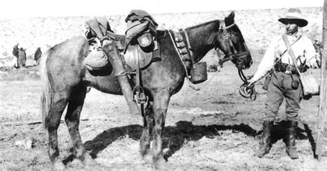 Lights camera action 3172/1 barrie gledden (prs) | kes loy (prs). LIGHT HORSE MEN - BEERSHEBA 100TH ANNIVERSARY