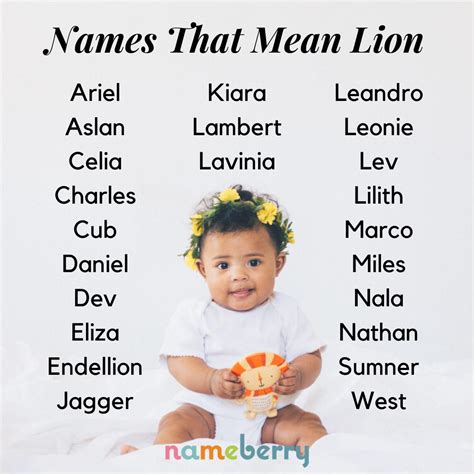 Names That Mean Lion Artofit