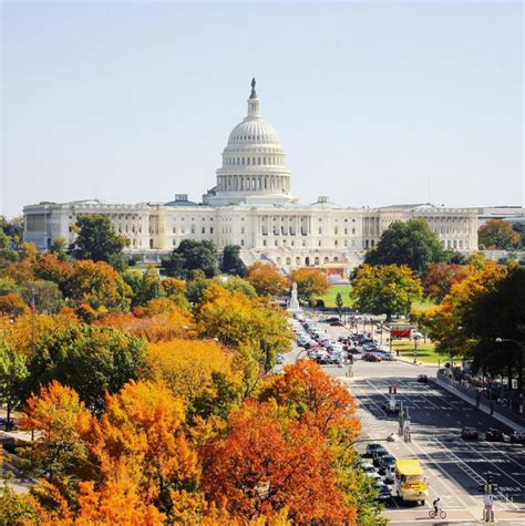 The Best Things To Do This Fall In Washington Dc