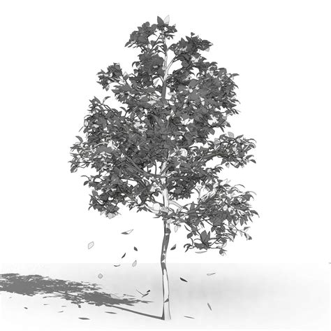 Revit scalable and detailed tree arquitree07 detailed 3D