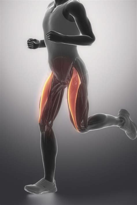 Hip Pain Causes Symptoms And Treatment Brandon Orthopedics