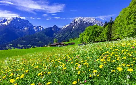 Hd Wallpaper Landscape Nature Yellow And Blue Flowers Meadow Lake