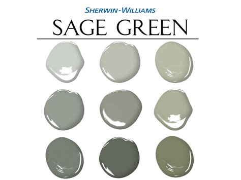 Sage Green Paint Palette Sherwin Williams Whole House Paint Colors Sage Green Color Scheme Sage