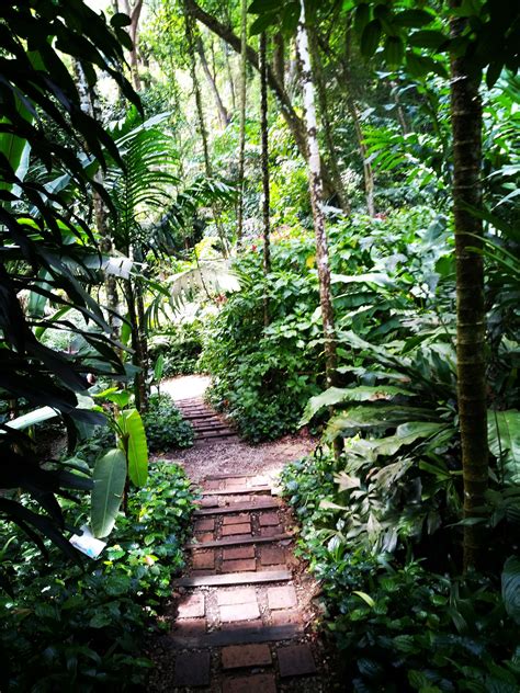 The tropical spice garden in penang is an amazing place to experience more than 500 plant species and a whole host of herbs and spices. Tropical Spice Garden de Penang - THéo COurant