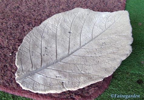 How To Make Leaf Castings Concrete Leaves Cement Leaves Concrete Garden