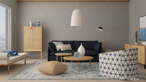 Cool Toned Organic Modern Living Room Modern Style