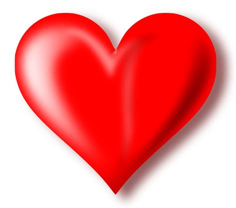Heart Png Hd Transparent Heart Hd Png Images Pluspng